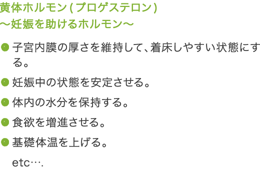 黄体ホルモン(プロゲステロン) 〜妊娠を助けるホルモン〜